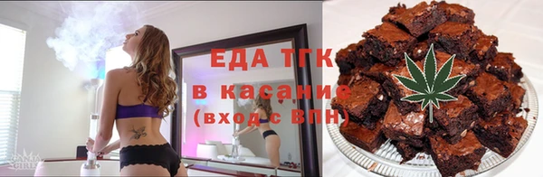 индика Абинск