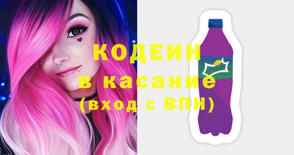 индика Абинск