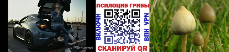 мега   Куртамыш  Галлюциногенные грибы мухоморы  продажа наркотиков 