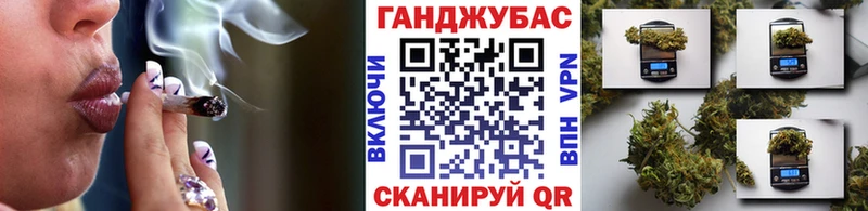 Бошки Шишки сатива Куртамыш
